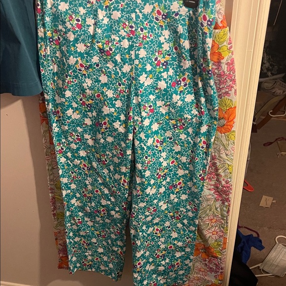 Capris - Picture 1 of 1